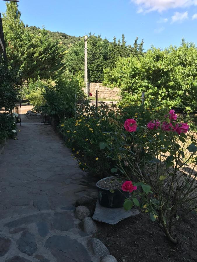 Els Pirineus Apartment Moltig les Bains Exterior photo